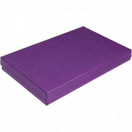 Коробка Horizon, фиолетовая0